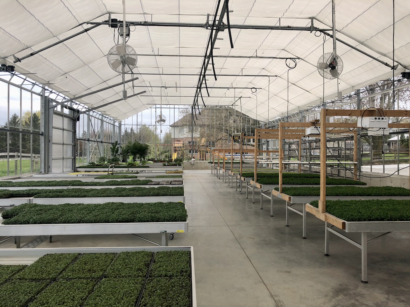 Greenhouse Greenhouse