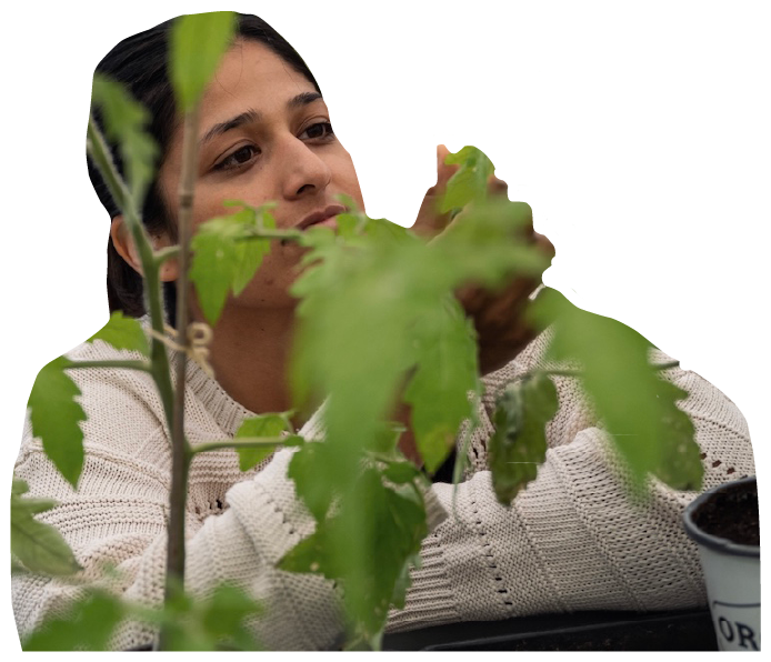 Pia looking at the plant outline Pia looking at the plant outline